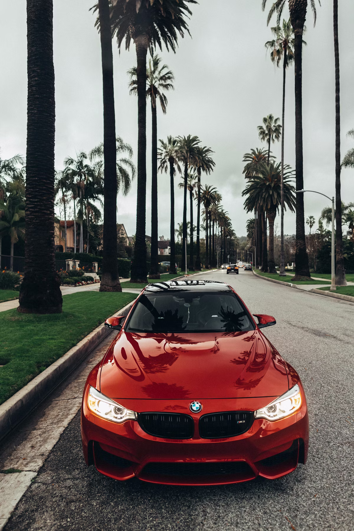 Auto Insurance Detail